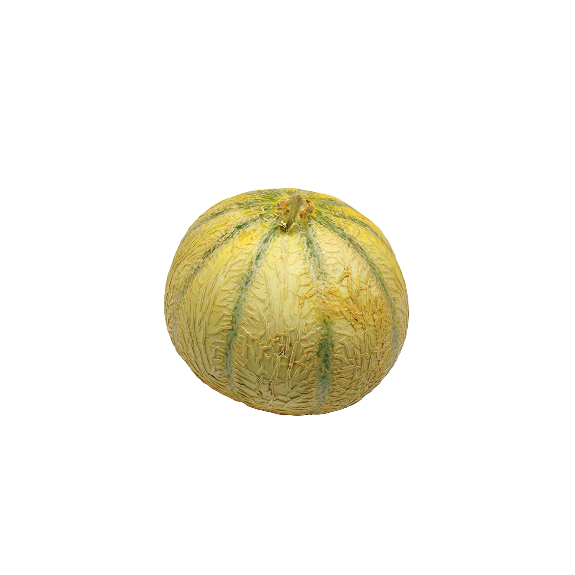 Melon (certifié AB )