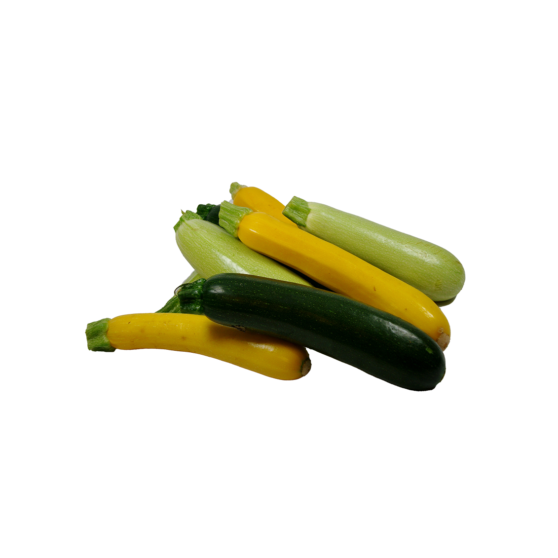 La courgette - Un Gout d'ici La courgette - Un Gout d'ici