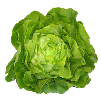 La salade - Un Gout d'ici