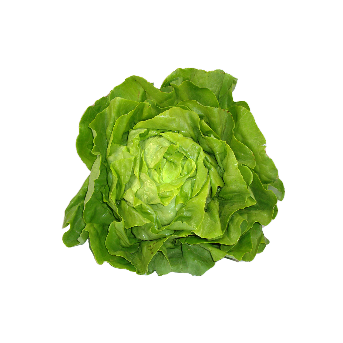 La salade La salade