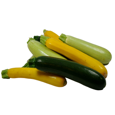 Courgettes rondes - Un Gout d'ici