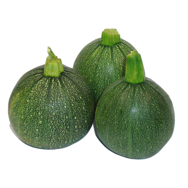 Courgettes rondes - Un Gout d'ici