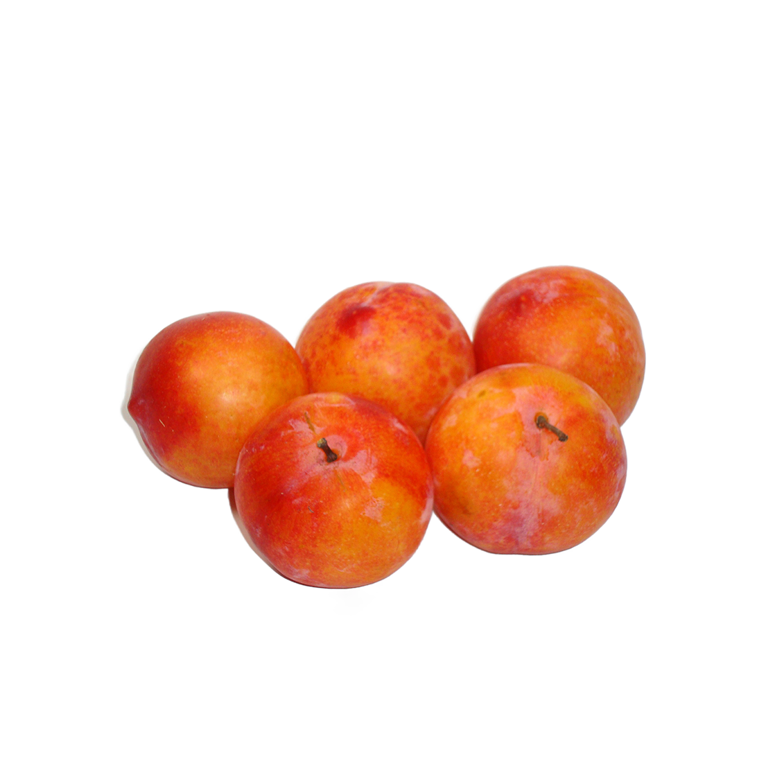 Prunes TC Sun - Un Gout d'ici
