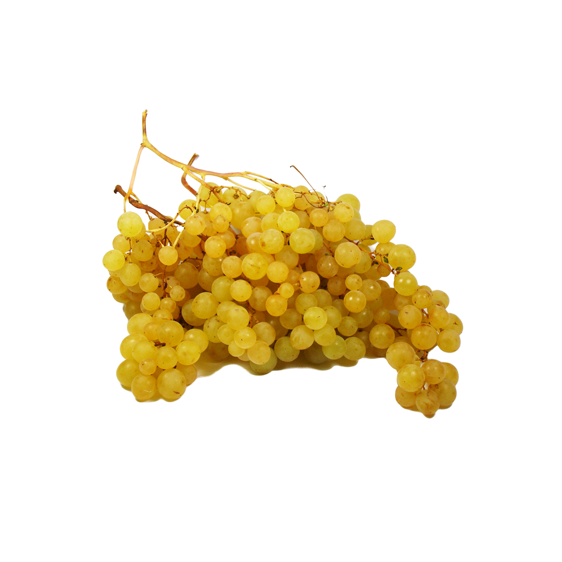 Raisin Exalta - Un Gout d'ici