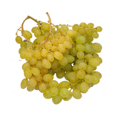 Raisin Centenial - Un Gout d'ici
