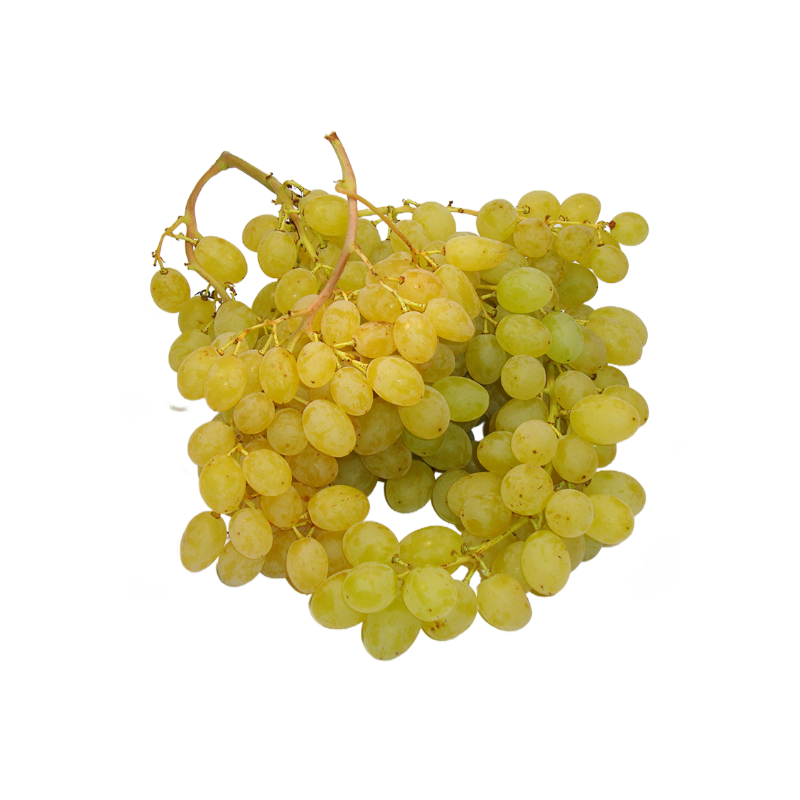 Raisin Centenial - Un Gout d'ici